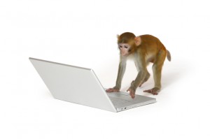 survey-monkey